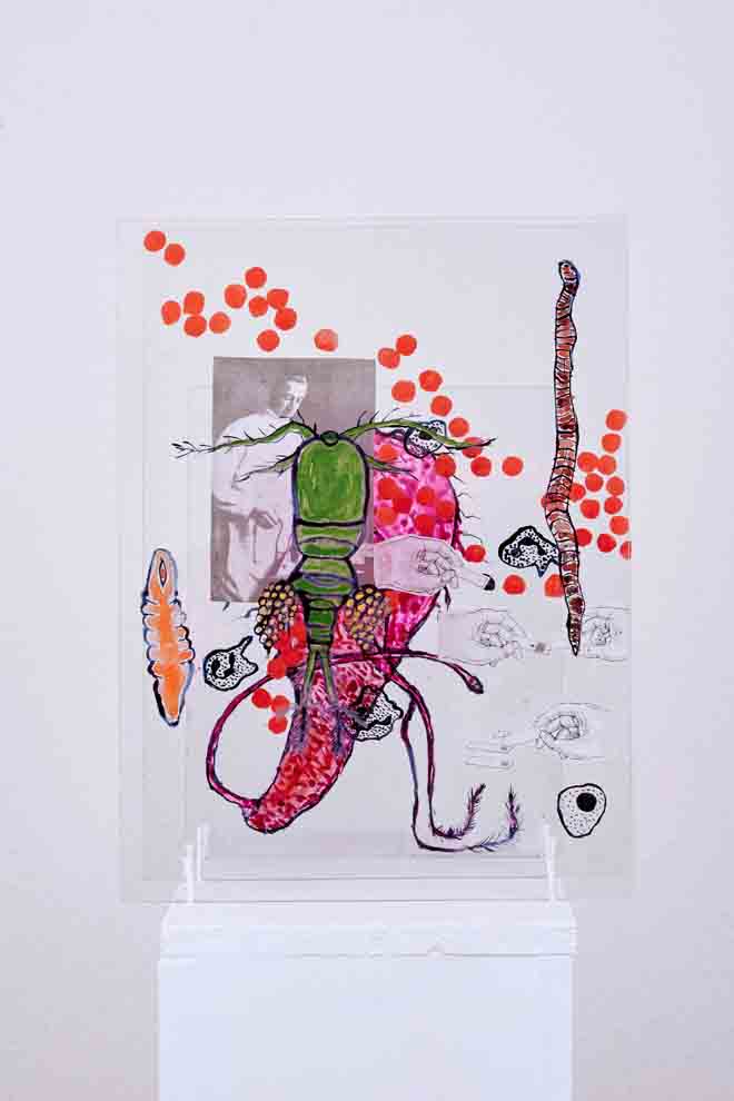 Installation_v_Linden